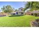 Large backyard with a well-manicured lawn, mature tree, and privacy fence for outdoor enjoyment at 13556 W Desert Flower Dr, Goodyear, AZ 85395