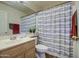 Bathroom featuring a light wood vanity, mirror, toilet, and shower with stylish curtain at 13556 W Desert Flower Dr, Goodyear, AZ 85395