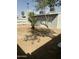 Image shows the backyard and surrounding trees and buildings at 1630 N 58Th Ave, Phoenix, AZ 85035