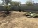 Picture of a large backyard with room for outdoor activities at 1630 N 58Th Ave, Phoenix, AZ 85035