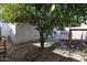 Spacious backyard with mature shade trees at 2113 N Squire Ave, Tempe, AZ 85288