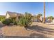 Single-story home with desert landscaping featuring cactus, palm trees, and decorative rocks at 22120 N Old Mine Rd, Sun City West, AZ 85375