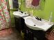 Unique bathroom featuring dual sinks, colorful skull-themed decor, and vibrant green walls at 3527 W Almeria Rd, Phoenix, AZ 85009