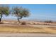 Desert landscape with trees and mountains in the distance at 45341 W Paraiso Ln, Maricopa, AZ 85139