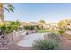 Lush backyard featuring palm trees, desert landscaping, meandering walkway and sitting area at 4756 W Nogales Way, Eloy, AZ 85131