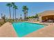 Beautiful blue community swimming pool surrounded by tall palms and lounge chairs at 9638 E Tranquility Way, Sun Lakes, AZ 85248