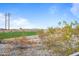 View of lush golf course with desert landscaping and clear blue sky at 13018 S 177Th Ln, Goodyear, AZ 85338