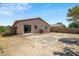 Spacious backyard features a sliding glass door leading from the home with block fence and some trees at 25073 W Dove Trl, Buckeye, AZ 85326