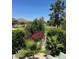 Lush backyard showcasing verdant landscaping, colorful flora, and views of trees, a mountain, and blue skies at 7242 E Joshua Tree Ln, Scottsdale, AZ 85250