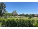 Scenic backyard view featuring lush greenery, mature trees, and open green space on a clear day at 7242 E Joshua Tree Ln, Scottsdale, AZ 85250