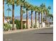 Community street view showcasing mature palm trees and homes in the community at 7807 E Main St # Aa-8, Mesa, AZ 85207