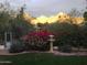 Manicured backyard with a bird bath, desert landscaping, and mountain views at 7841 N 18Th St, Phoenix, AZ 85020