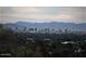 Scenic view of the Phoenix city skyline with lush green trees and mountains in the distance at 7841 N 18Th St, Phoenix, AZ 85020