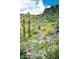 Scenic hiking trail lined with desert flora and fauna in Phoenix Mountains Preserve at 7841 N 18Th St, Phoenix, AZ 85020
