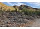 Desert landscape with native cacti and plants, surrounded by scenic mountain views and a vibrant blue sky at 7841 N 18Th St, Phoenix, AZ 85020