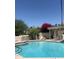 Community pool surrounded by palm trees and chaise lounges under a bright blue sky at 7841 N 18Th St, Phoenix, AZ 85020