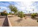 Spacious backyard featuring desert landscaping with various trees and plants along the perimeter at 15655 W Bethesda Ct, Surprise, AZ 85374