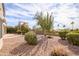 The backyard features desert landscaping and a view of neighborhood palm trees at 15655 W Bethesda Ct, Surprise, AZ 85374
