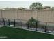 Fenced-in backyard with lush artificial grass and mature trees provide a safe play area at 1919 E Gary Way, Phoenix, AZ 85042