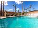 Bright community pool featuring desert landscaping and ample lounge space at 2442 E University Dr # 6, Mesa, AZ 85213