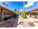 Charming walkway showcasing beautiful desert landscaping and inviting community appeal at 2442 E University Dr # 6, Mesa, AZ 85213