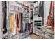 Organized walk-in closet with shelving and rods for optimal storage at 2511 W Queen Creek Rd # 163, Chandler, AZ 85248