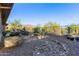 Expansive backyard featuring desert landscaping with rocks, cacti, and native plants, enhancing the natural appeal at 42019 N Golf Crest Rd, Anthem, AZ 85086