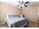 Bedroom featuring a plush queen bed, ceiling fan, neutral walls, and carpet flooring at 714 W Desert Hills Dr, San Tan Valley, AZ 85143