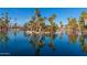 Scenic view of a pond surrounded by palm trees, with reflections on the water, creating a tranquil ambiance at 1622 N 17Th Ave, Phoenix, AZ 85007