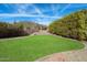 Well-maintained backyard featuring a terraced lawn, privacy landscaping, and natural surroundings, perfect for outdoor relaxation at 23225 N 23Rd Pl, Phoenix, AZ 85024