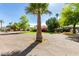 Charming neighborhood scene featuring lush landscaping, well-kept lawns and inviting homes at 3512 N Chambers Ct, Scottsdale, AZ 85251