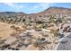 Beautiful neighborhood view with a community playground at 4215 W Reddie Loop, Phoenix, AZ 85083