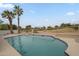 Inviting swimming pool with views of palm trees and landscaped scenery at 5246 E Enrose St, Mesa, AZ 85205