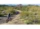 Scenic view of a person biking on a dirt trail with cacti and desert brush at 6614 E Portia St, Mesa, AZ 85215