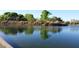 A serene pond featuring calm water, lush reeds, and several ducks floating nearby at 6614 E Portia St, Mesa, AZ 85215