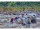 Exciting river rafting adventure on a flowing river near Tonto National Forest at 6614 E Portia St, Mesa, AZ 85215
