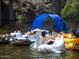 Enjoy outdoor recreation on the river with Gathering and friends, swan float, and mountain views at 6614 E Portia St, Mesa, AZ 85215