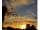 Breathtaking sunset with vibrant colors painting the sky and silhouetted trees below at 6614 E Portia St, Mesa, AZ 85215
