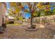 Beautiful backyard with mature trees, a stone patio, and lush landscaping at 10664 E Emerald Ave, Mesa, AZ 85208