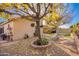 Serene backyard featuring mature shade trees, stone patio, and cozy outdoor dining at 10664 E Emerald Ave, Mesa, AZ 85208