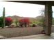 Stunning mountain views from back patio, with lush desert landscaping, cacti, and flowering bushes at 1185 N Sherwood Way, Queen Valley, AZ 85118