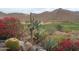 Desert landscaping with flowering bushes, cacti, and golf course views at 1185 N Sherwood Way, Queen Valley, AZ 85118