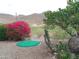 Backyard view showcasing lush desert landscaping with a putting green and views of the surrounding desert at 1185 N Sherwood Way, Queen Valley, AZ 85118