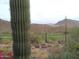 View of a lush green golf course surrounded by desert landscape and rolling hills at 1185 N Sherwood Way, Queen Valley, AZ 85118