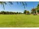 Expansive green space offers a vibrant recreational area for various outdoor activities with trees dotting the horizon at 2701 E Hobart St, Gilbert, AZ 85296