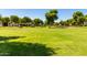 Large green space with mature trees, perfect for outdoor activities and relaxation at 2701 E Hobart St, Gilbert, AZ 85296