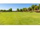 Expansive green space offering a perfect area for recreational activities and relaxation at 2701 E Hobart St, Gilbert, AZ 85296