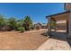 Spacious backyard with mature landscaping and a covered patio area at 6350 W Hess St, Phoenix, AZ 85043