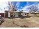 Expansive backyard with patio and mature trees provides a private outdoor living space at 6720 W Medlock Dr, Glendale, AZ 85303