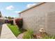 Cozy backyard featuring a lush lawn, vibrant bougainvillea bushes, and a paved walkway at 698 W Merrill Ave, Gilbert, AZ 85233